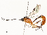  ( - CBG-A51912-C12)  @11 [ ] CreativeCommons - Attribution Share - Alike (2024) CBG Photography Group Centre for Biodiversity Genomics