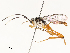 ( - CBG-A51912-G05)  @11 [ ] CreativeCommons - Attribution Share - Alike (2024) CBG Photography Group Centre for Biodiversity Genomics