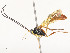  ( - CBG-A53597-C11)  @11 [ ] CreativeCommons - Attribution Share - Alike (2024) CBG Photography Group Centre for Biodiversity Genomics