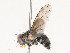  ( - CBG-A53597-H04)  @11 [ ] CreativeCommons - Attribution Share - Alike (2024) CBG Photography Group Centre for Biodiversity Genomics