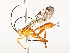  ( - CBG-A53598-A08)  @11 [ ] CreativeCommons - Attribution Share - Alike (2024) CBG Photography Group Centre for Biodiversity Genomics