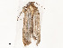  ( - CBG-A53598-C01)  @11 [ ] CreativeCommons - Attribution Share - Alike (2024) CBG Photography Group Centre for Biodiversity Genomics