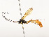  ( - CBG-A53598-D03)  @11 [ ] CreativeCommons - Attribution Share - Alike (2024) CBG Photography Group Centre for Biodiversity Genomics