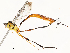  ( - CBG-A53599-E11)  @11 [ ] CreativeCommons - Attribution Share - Alike (2024) CBG Photography Group Centre for Biodiversity Genomics