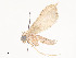  ( - CBG-A53600-D01)  @11 [ ] CreativeCommons - Attribution Share - Alike (2024) CBG Photography Group Centre for Biodiversity Genomics