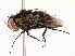  ( - CBG-A53601-E12)  @11 [ ] CreativeCommons - Attribution Share - Alike (2024) CBG Photography Group Centre for Biodiversity Genomics