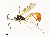  ( - CBG-A54419-H02)  @11 [ ] CreativeCommons - Attribution Share - Alike (2024) CBG Photography Group Centre for Biodiversity Genomics