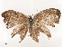  ( - CBG-A53602-E09)  @11 [ ] CreativeCommons - Attribution Share - Alike (2024) CBG Photography Group Centre for Biodiversity Genomics