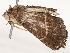  ( - CBG-A53602-F03)  @11 [ ] CreativeCommons - Attribution Share - Alike (2024) CBG Photography Group Centre for Biodiversity Genomics