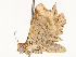  ( - CBG-A53602-F09)  @11 [ ] CreativeCommons - Attribution Share - Alike (2024) CBG Photography Group Centre for Biodiversity Genomics