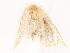  ( - CBG-A53604-E09)  @11 [ ] CreativeCommons - Attribution Share - Alike (2024) CBG Photography Group Centre for Biodiversity Genomics