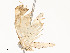  ( - CBG-A53604-H02)  @11 [ ] CreativeCommons - Attribution Share - Alike (2024) CBG Photography Group Centre for Biodiversity Genomics