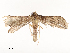  ( - CBG-A54420-C01)  @11 [ ] CreativeCommons - Attribution Share - Alike (2024) CBG Photography Group Centre for Biodiversity Genomics