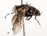  ( - CBG-A54420-D05)  @11 [ ] CreativeCommons - Attribution Share - Alike (2024) CBG Photography Group Centre for Biodiversity Genomics