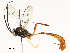 ( - CBG-A54420-F05)  @11 [ ] CreativeCommons - Attribution Share - Alike (2024) CBG Photography Group Centre for Biodiversity Genomics