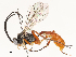  ( - CBG-A54420-G05)  @11 [ ] CreativeCommons - Attribution Share - Alike (2024) CBG Photography Group Centre for Biodiversity Genomics