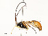  ( - CBG-A54443-E09)  @11 [ ] CreativeCommons - Attribution Share - Alike (2024) CBG Photography Group Centre for Biodiversity Genomics