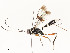  ( - CBG-A54446-G08)  @11 [ ] CreativeCommons - Attribution Share - Alike (2024) CBG Photography Group Centre for Biodiversity Genomics