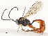  ( - CBG-A54511-C11)  @11 [ ] CreativeCommons - Attribution Share - Alike (2024) CBG Photography Group Centre for Biodiversity Genomics