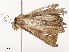  ( - CBG-A54513-A11)  @11 [ ] CreativeCommons - Attribution Share - Alike (2024) CBG Photography Group Centre for Biodiversity Genomics