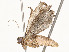  ( - CBG-A54513-B04)  @11 [ ] CreativeCommons - Attribution Share - Alike (2024) CBG Photography Group Centre for Biodiversity Genomics