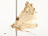  ( - CBG-A54513-B08)  @11 [ ] CreativeCommons - Attribution Share - Alike (2024) CBG Photography Group Centre for Biodiversity Genomics