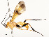  ( - CBG-A54513-C12)  @11 [ ] CreativeCommons - Attribution Share - Alike (2024) CBG Photography Group Centre for Biodiversity Genomics