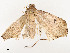  ( - CBG-A54514-A05)  @11 [ ] CreativeCommons - Attribution Share - Alike (2024) CBG Photography Group Centre for Biodiversity Genomics