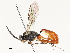  ( - CBG-A54516-H04)  @11 [ ] CreativeCommons - Attribution Share - Alike (2024) CBG Photography Group Centre for Biodiversity Genomics