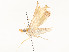  ( - CBG-A58577-D04)  @11 [ ] CreativeCommons - Attribution Share - Alike (2024) CBG Photography Group Centre for Biodiversity Genomics