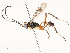  ( - CBG-A58577-F04)  @11 [ ] CreativeCommons - Attribution Share - Alike (2024) CBG Photography Group Centre for Biodiversity Genomics