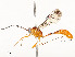  ( - CBG-A58578-E01)  @11 [ ] CreativeCommons - Attribution Share - Alike (2024) CBG Photography Group Centre for Biodiversity Genomics