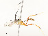  ( - CBG-A58579-G05)  @11 [ ] CreativeCommons - Attribution Share - Alike (2024) CBG Photography Group Centre for Biodiversity Genomics