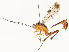  ( - CBG-A58579-G08)  @11 [ ] CreativeCommons - Attribution Share - Alike (2024) CBG Photography Group Centre for Biodiversity Genomics