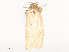  ( - CBG-A58580-A04)  @11 [ ] CreativeCommons - Attribution Share - Alike (2024) CBG Photography Group Centre for Biodiversity Genomics