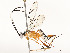  ( - CBG-A58580-G11)  @11 [ ] CreativeCommons - Attribution Share - Alike (2024) CBG Photography Group Centre for Biodiversity Genomics