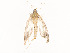  ( - CBG-A58581-D01)  @11 [ ] CreativeCommons - Attribution Share - Alike (2024) CBG Photography Group Centre for Biodiversity Genomics
