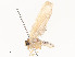  ( - CBG-A58581-E02)  @11 [ ] CreativeCommons - Attribution Share - Alike (2024) CBG Photography Group Centre for Biodiversity Genomics