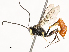 ( - CBG-A58585-C01)  @11 [ ] CreativeCommons - Attribution Share - Alike (2024) CBG Photography Group Centre for Biodiversity Genomics