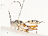  ( - CBG-A58585-D05)  @11 [ ] CreativeCommons - Attribution Share - Alike (2024) CBG Photography Group Centre for Biodiversity Genomics