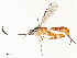  ( - CBG-A58586-A12)  @11 [ ] CreativeCommons - Attribution Share - Alike (2024) CBG Photography Group Centre for Biodiversity Genomics