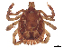  ( - CBG-A34191-E05)  @11 [ ] CreativeCommons - Attribution Share Alike (2024) CBG Photography Group Centre for Biodiversity Genomics