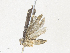  ( - CBG-A34307-D10)  @11 [ ] CreativeCommons - Attribution Share - Alike (2024) CBG Photography Group Centre for Biodiversity Genomics