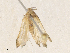  ( - CBG-A34307-H04)  @11 [ ] CreativeCommons - Attribution Share - Alike (2024) CBG Photography Group Centre for Biodiversity Genomics