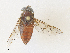  ( - CBG-A34308-D07)  @11 [ ] CreativeCommons - Attribution Share - Alike (2024) CBG Photography Group Centre for Biodiversity Genomics