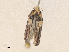  ( - CBG-A35157-H06)  @11 [ ] CreativeCommons - Attribution Share - Alike (2024) CBG Photography Group Centre for Biodiversity Genomics