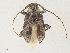  ( - CBG-A35158-A07)  @11 [ ] CreativeCommons - Attribution Share - Alike (2024) CBG Photography Group Centre for Biodiversity Genomics