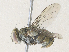  ( - CBG-A35158-E08)  @11 [ ] CreativeCommons - Attribution Share - Alike (2024) CBG Photography Group Centre for Biodiversity Genomics