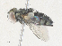  ( - CBG-A35158-F01)  @11 [ ] CreativeCommons - Attribution Share - Alike (2024) CBG Photography Group Centre for Biodiversity Genomics