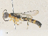  ( - CBG-A35159-D06)  @11 [ ] CreativeCommons - Attribution Share - Alike (2024) CBG Photography Group Centre for Biodiversity Genomics